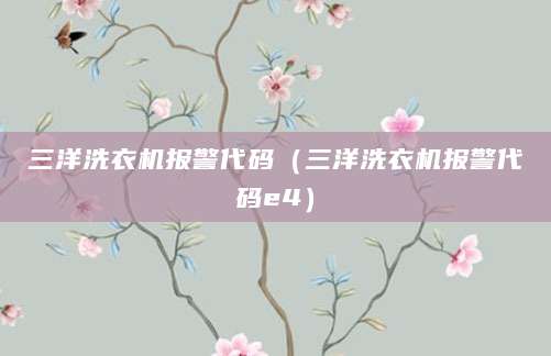 三洋洗衣机报警代码（三洋洗衣机报警代码e4）