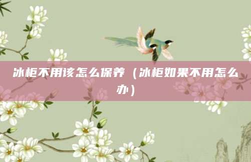 冰柜不用该怎么保养（冰柜如果不用怎么办）