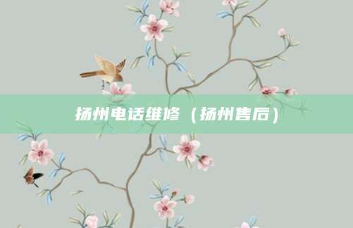 扬州电话维修（扬州售后）