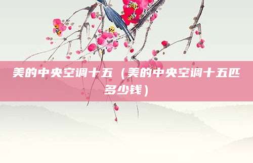 美的中央空调十五（美的中央空调十五匹多少钱）