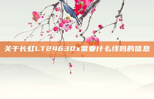 关于长虹LT24630x需要什么线吗的信息