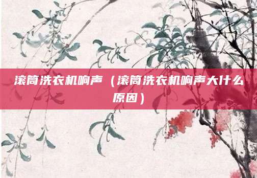 滚筒洗衣机响声（滚筒洗衣机响声大什么原因）