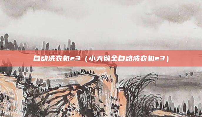 自动洗衣机e3（小天鹅全自动洗衣机e3）