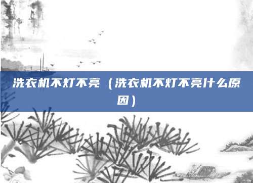 洗衣机不灯不亮（洗衣机不灯不亮什么原因）