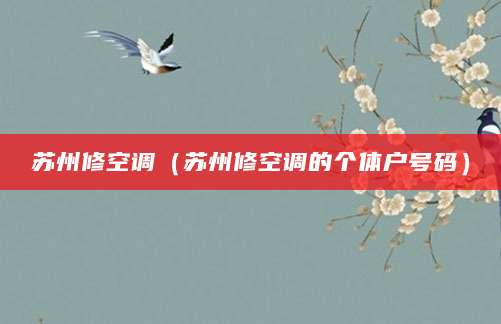 苏州修空调（苏州修空调的个体户号码）