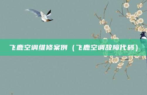 飞鹿空调维修案例（飞鹿空调故障代码）