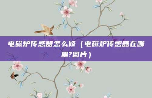电磁炉传感器怎么修（电磁炉传感器在哪里?图片）