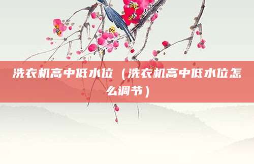 洗衣机高中低水位（洗衣机高中低水位怎么调节）
