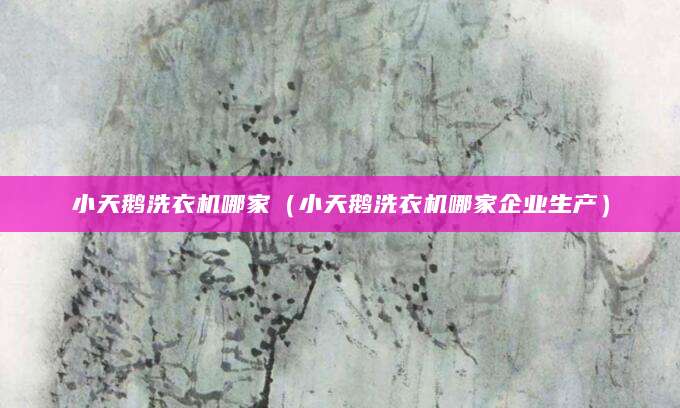 小天鹅洗衣机哪家（小天鹅洗衣机哪家企业生产）