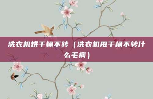 洗衣机烘干桶不转（洗衣机甩干桶不转什么毛病）