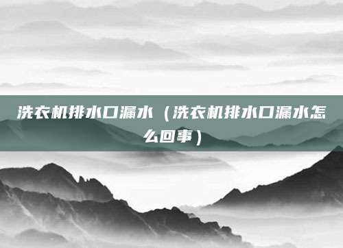 洗衣机排水口漏水（洗衣机排水口漏水怎么回事）