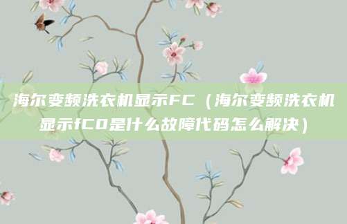 海尔变频洗衣机显示FC（海尔变频洗衣机显示fC0是什么故障代码怎么解决）