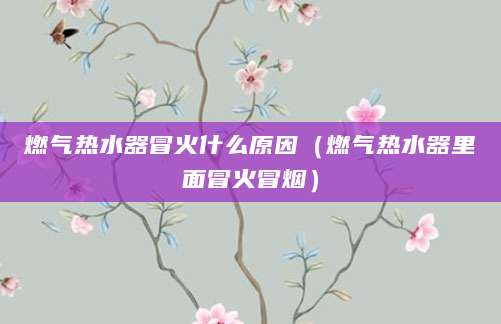 燃气热水器冒火什么原因（燃气热水器里面冒火冒烟）