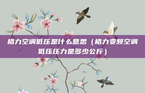 格力空调低压是什么意思（格力变频空调低压压力是多少公斤）