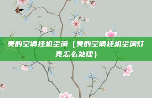 美的空调挂机尘满（美的空调挂机尘满灯亮怎么处理）