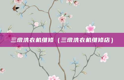 三墩洗衣机维修（三墩洗衣机维修店）