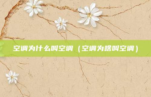 空调为什么叫空调（空调为啥叫空调）
