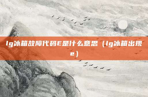 lg冰箱故障代码E是什么意思（lg冰箱出现e）