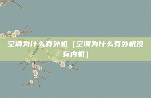 空调为什么有外机（空调为什么有外机没有内机）