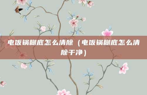 电饭锅糊底怎么清除（电饭锅糊底怎么清除干净）