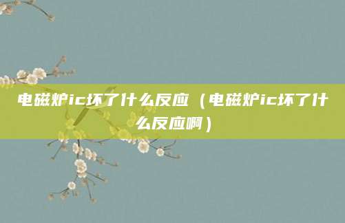 电磁炉ic坏了什么反应（电磁炉ic坏了什么反应啊）