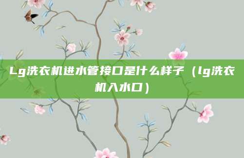 Lg洗衣机进水管接口是什么样子（lg洗衣机入水口）