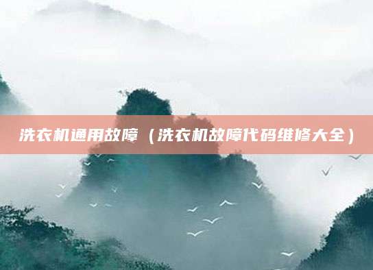 洗衣机通用故障（洗衣机故障代码维修大全）