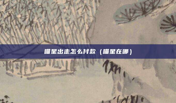 喵星出走怎么付款（喵星在哪）