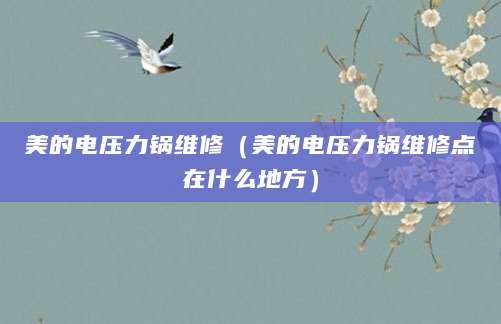 美的电压力锅维修（美的电压力锅维修点在什么地方）