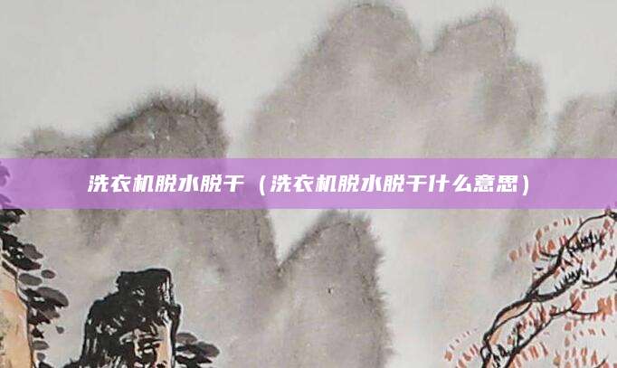 洗衣机脱水脱干（洗衣机脱水脱干什么意思）