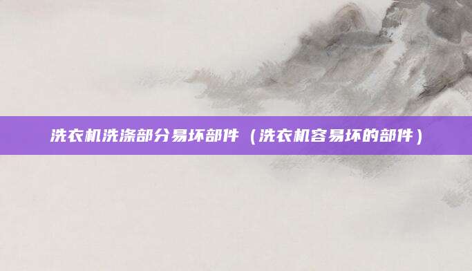 洗衣机洗涤部分易坏部件（洗衣机容易坏的部件）