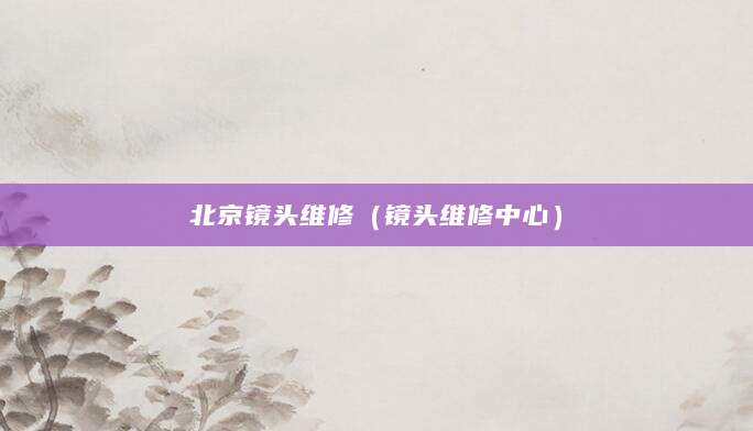 北京镜头维修（镜头维修中心）
