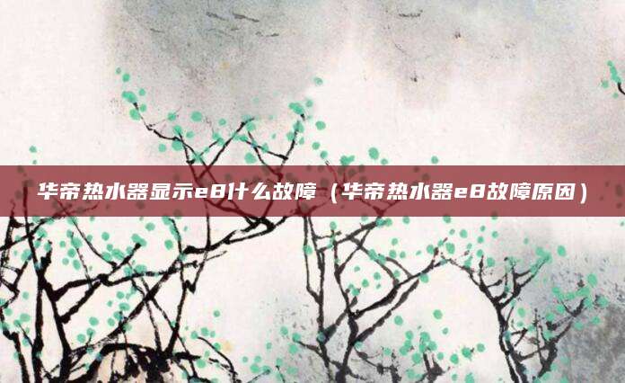 华帝热水器显示e8什么故障（华帝热水器e8故障原因）