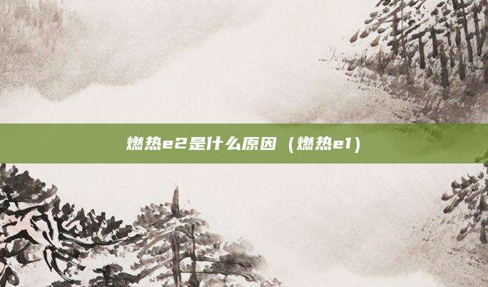 燃热e2是什么原因（燃热e1）