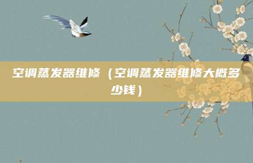 空调蒸发器维修（空调蒸发器维修大概多少钱）