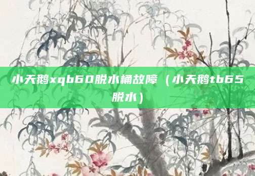 小天鹅xqb60脱水桶故障（小天鹅tb65脱水）