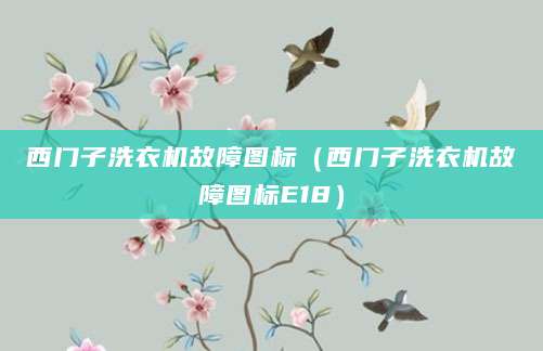 西门子洗衣机故障图标（西门子洗衣机故障图标E18）