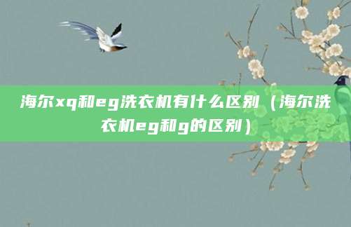 海尔xq和eg洗衣机有什么区别（海尔洗衣机eg和g的区别）