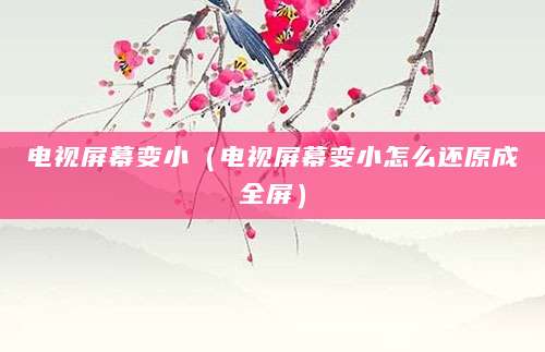 电视屏幕变小（电视屏幕变小怎么还原成全屏）