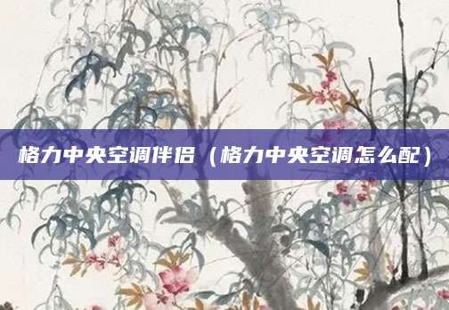 格力中央空调伴侣（格力中央空调怎么配）