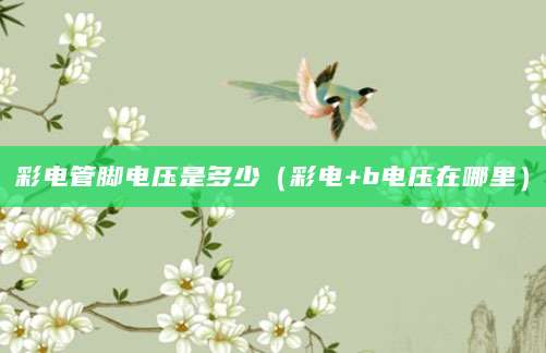 彩电管脚电压是多少（彩电+b电压在哪里）