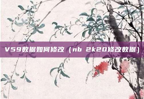 V59数据如何修改（nbα2k20修改数据）