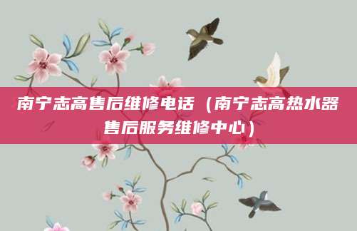 南宁志高售后维修电话（南宁志高热水器售后服务维修中心）