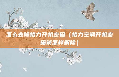 怎么去除格力开机密码（格力空调开机密码锁怎样解除）