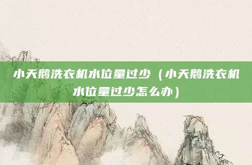 小天鹅洗衣机水位量过少（小天鹅洗衣机水位量过少怎么办）