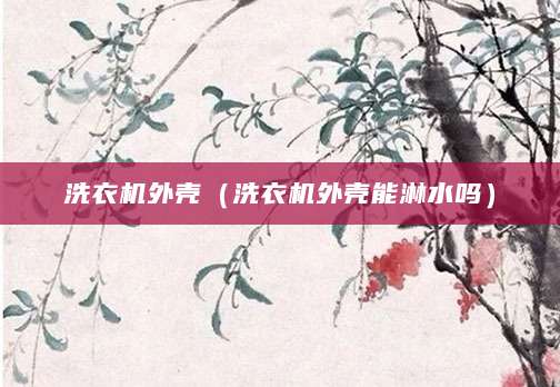 洗衣机外壳（洗衣机外壳能淋水吗）