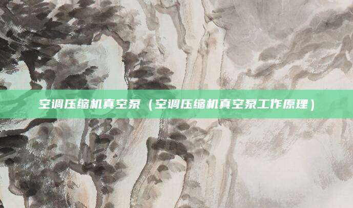 空调压缩机真空泵(空调压缩机真空泵工作原理)