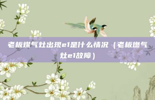 老板煤气灶出现e1是什么情况(老板燃气灶e1故障)