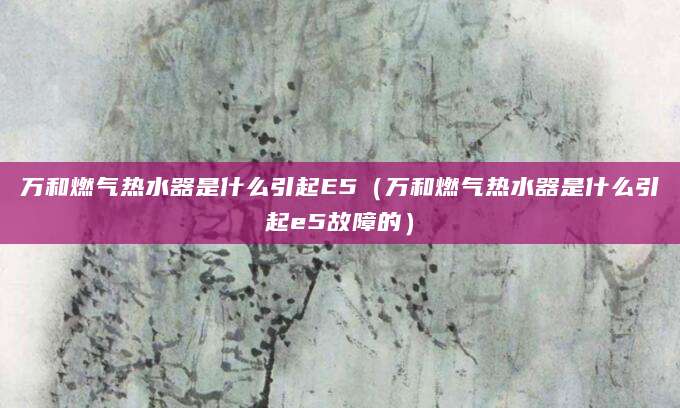 万和燃气热水器是什么引起E5（万和燃气热水器是什么引起e5故障的）