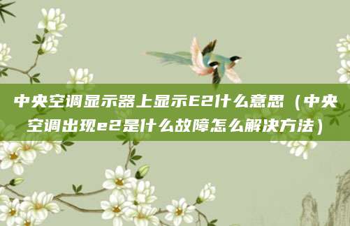 中央空调显示器上显示E2什么意思（中央空调出现e2是什么故障怎么解决方法）